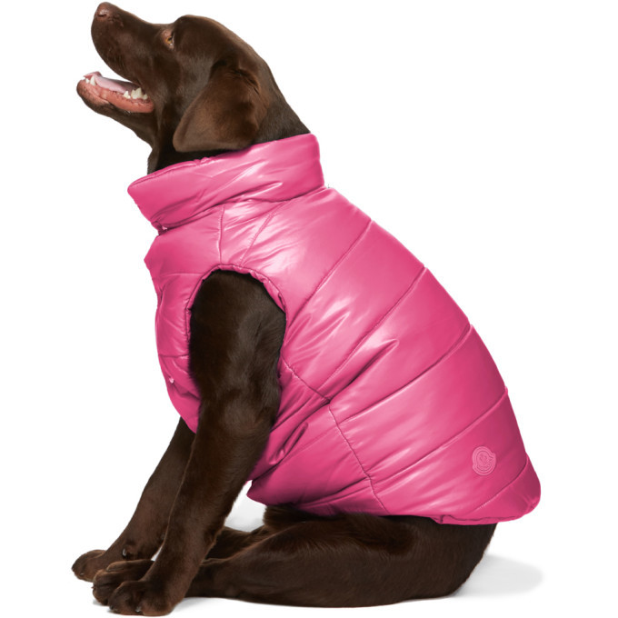 Moncler Genius Pink Poldo Dog Couture Edition Insulated Jacket 