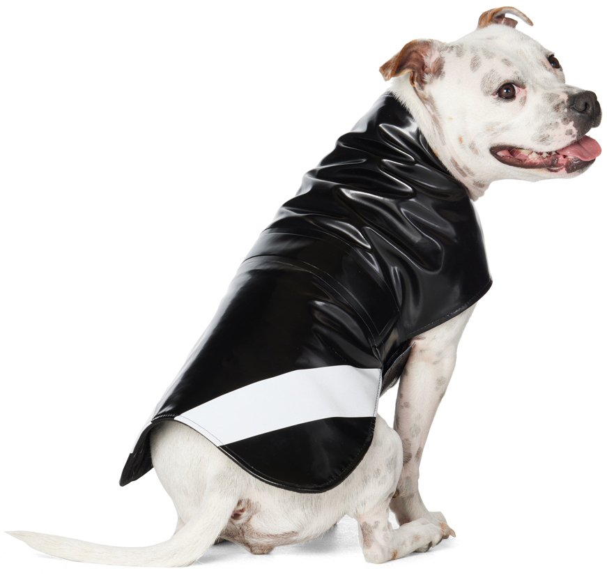 Stutterheim SSENSE Exclusive Black Dog Raincoat Stutterheim