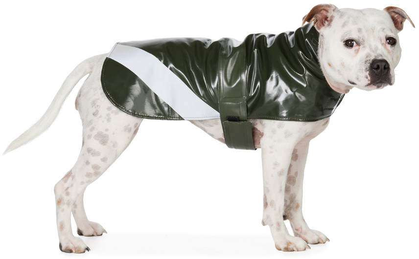 Stutterheim SSENSE Exclusive Green Dog Raincoat Stutterheim