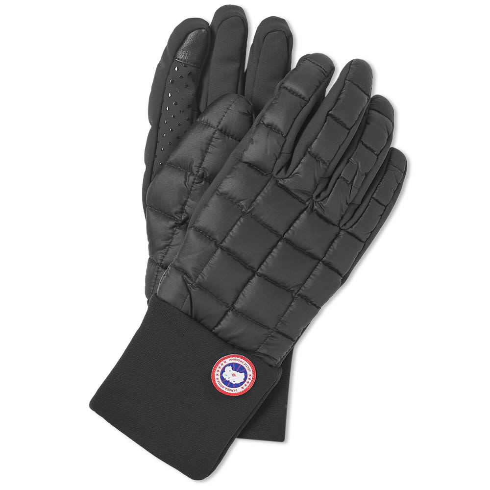 northern glove liner