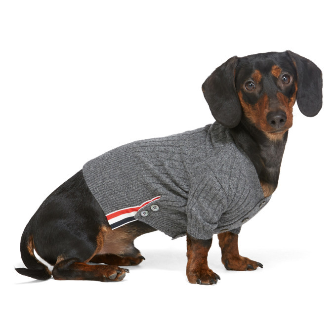 thom browne dog clothes