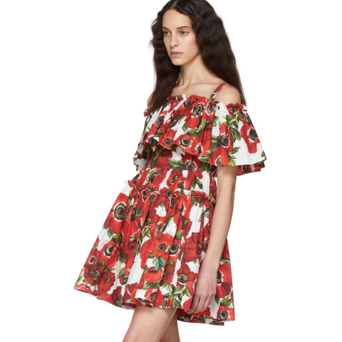 dolce gabbana anemone dress