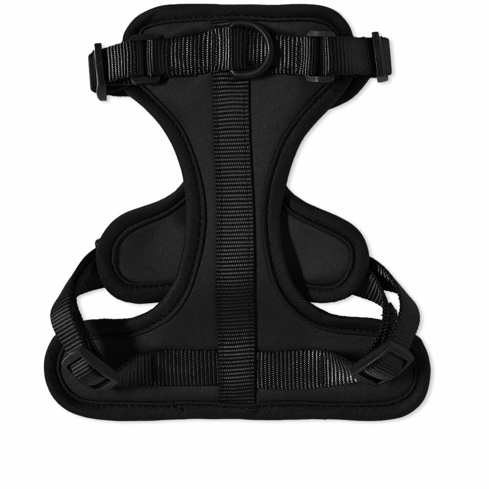 Wild One Dog Harness in Black Wild One