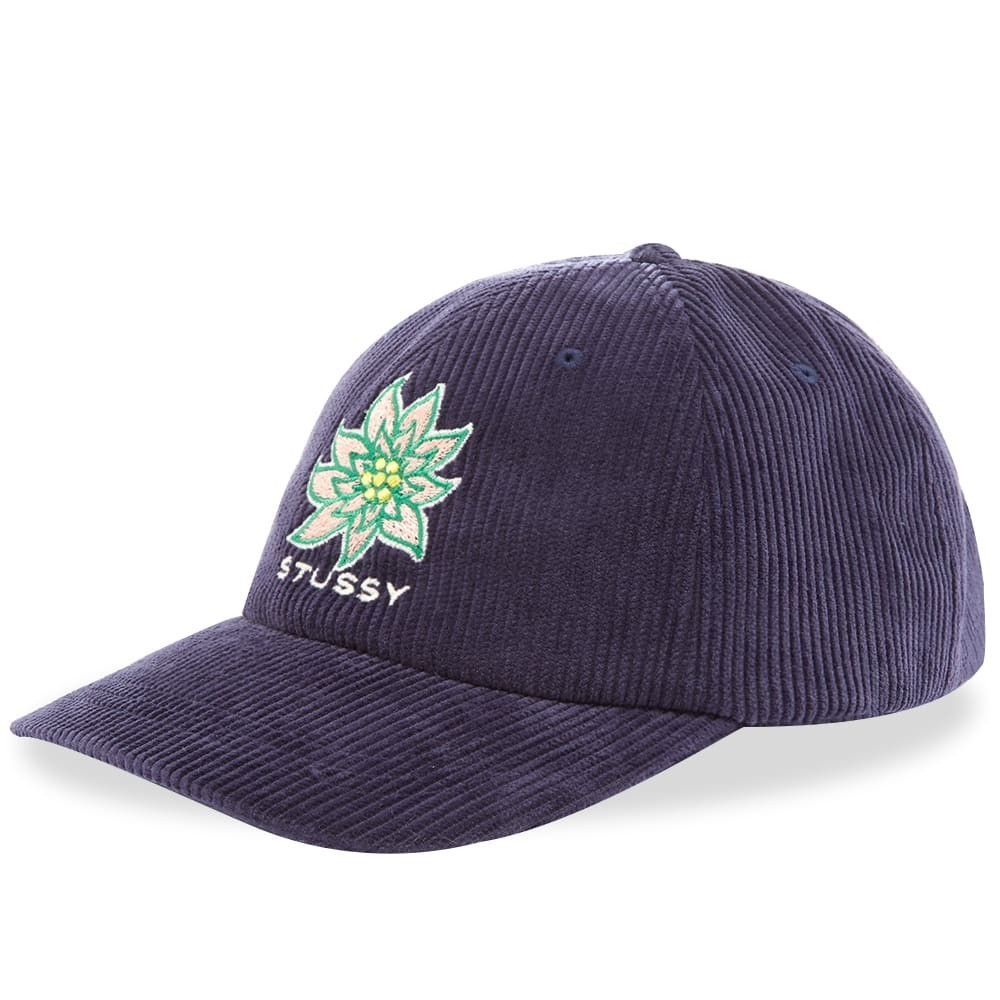 stussy laguna low pro cap