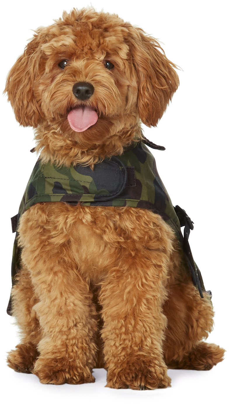 BAPE Green Barbour Edition Dog Coat A Bathing Ape