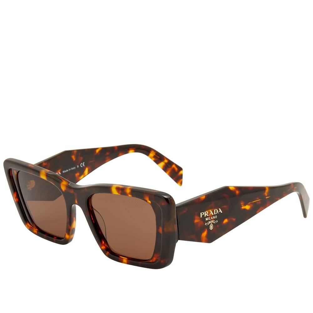 Prada Eyewear Women S Prada Pr Ys Symbole Sunglasses In Tortoise Prada