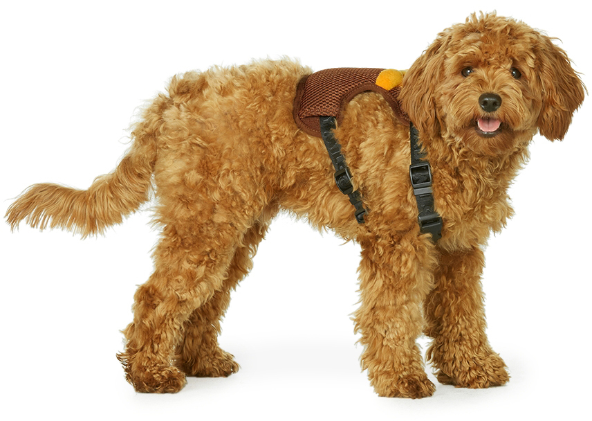 BAPE Brown Baby Milo Mesh Dog Harness
