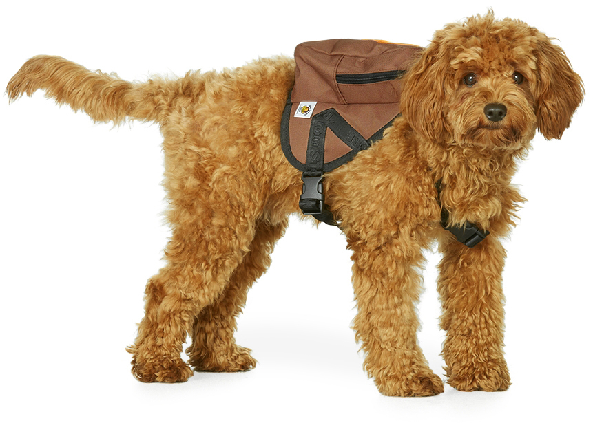 Photo: BAPE Brown Baby Milo Backpack Dog Harness