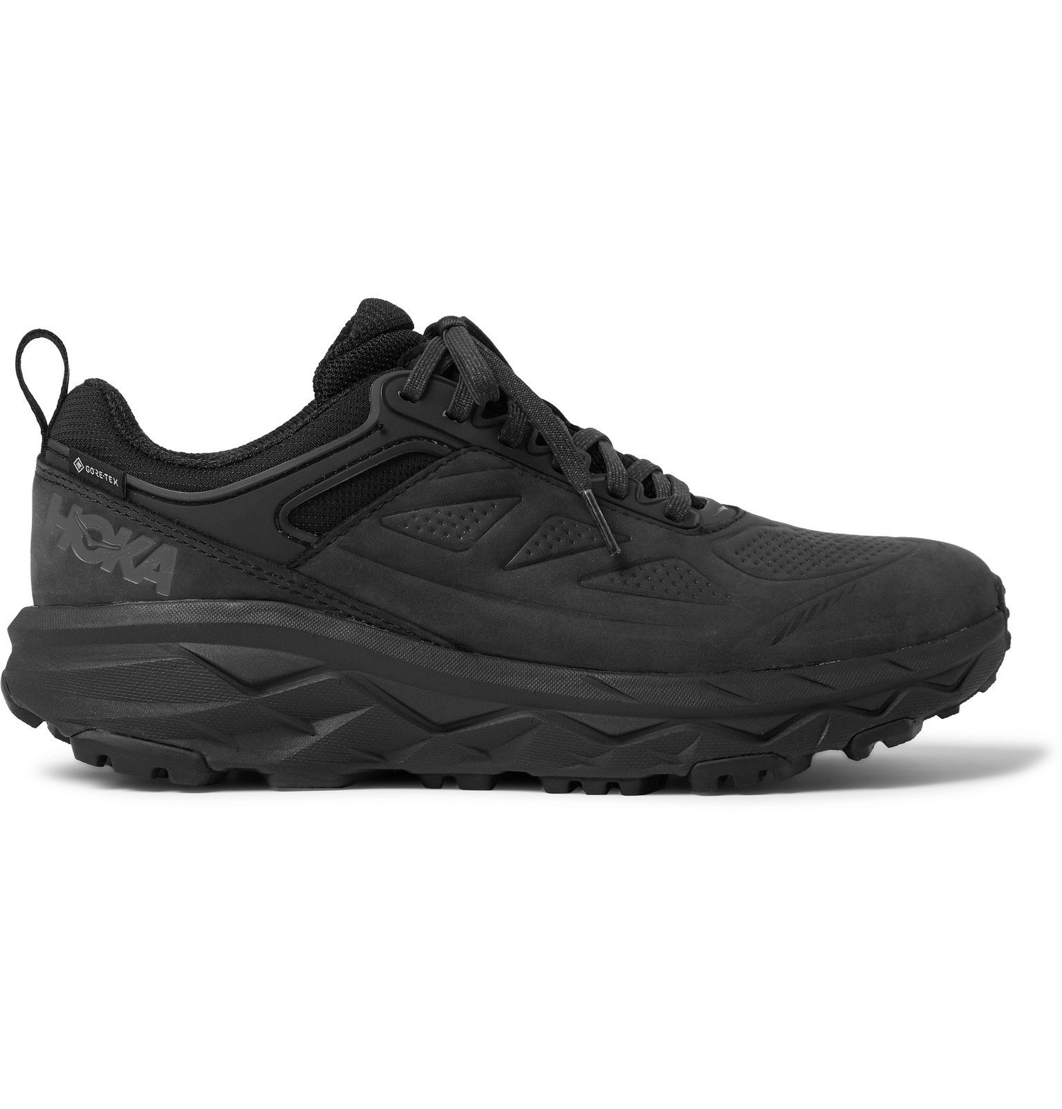 Challenger GORE-TEX and Nubuck Trail 