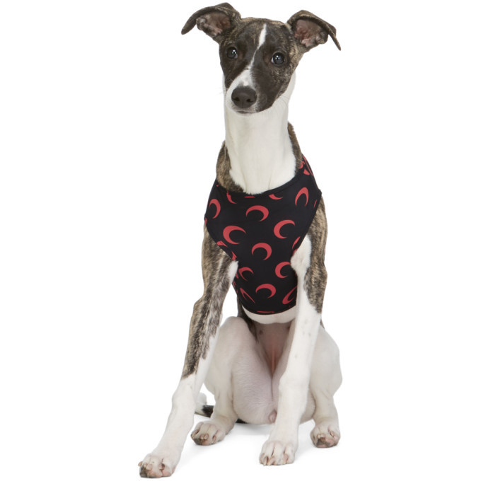 marine serre dog shirt