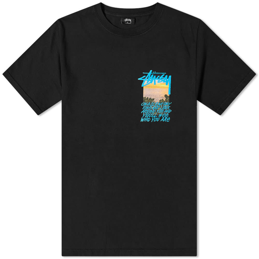 clear day tee stussy
