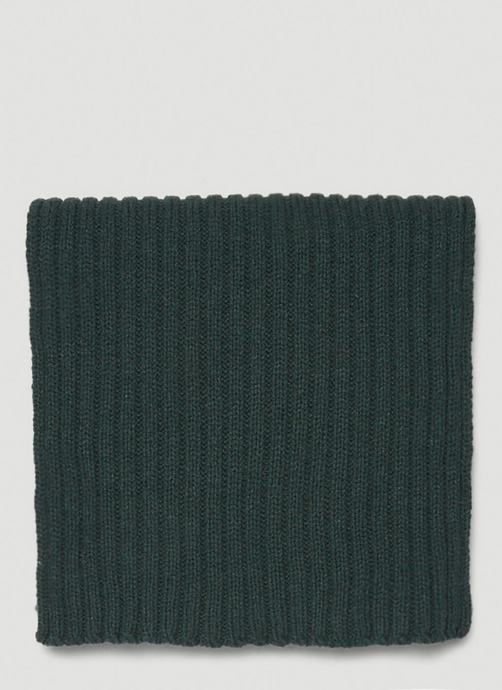 Long Knit Scarf in Green