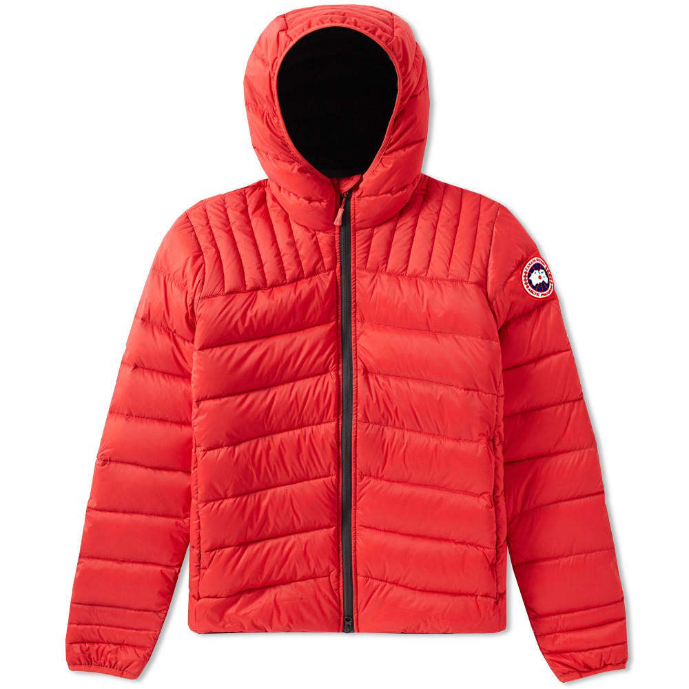 brookvale hooded canada goose