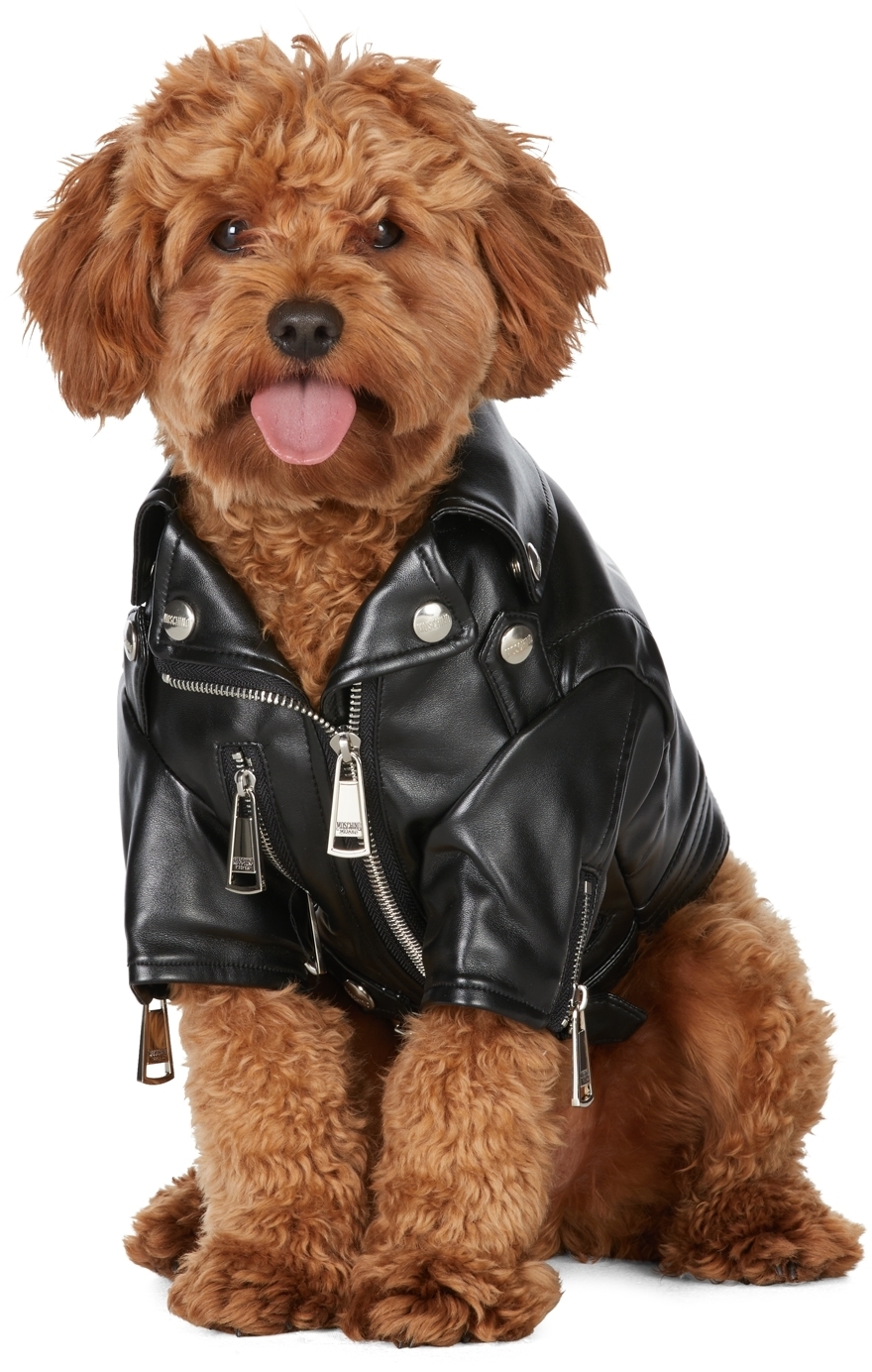 faux leather dog coat