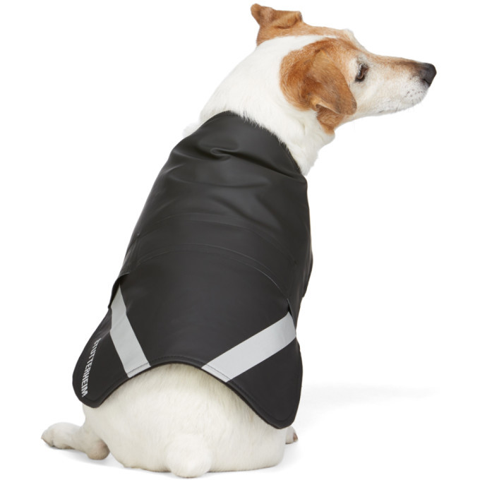 champion dog raincoat