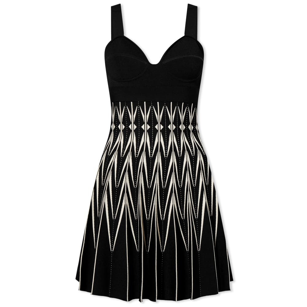 Alexander McQueen Women's Knit Mini Dress in Black/Bone Alexander McQueen