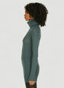 Ribbed Roll Neck Sweater in Green