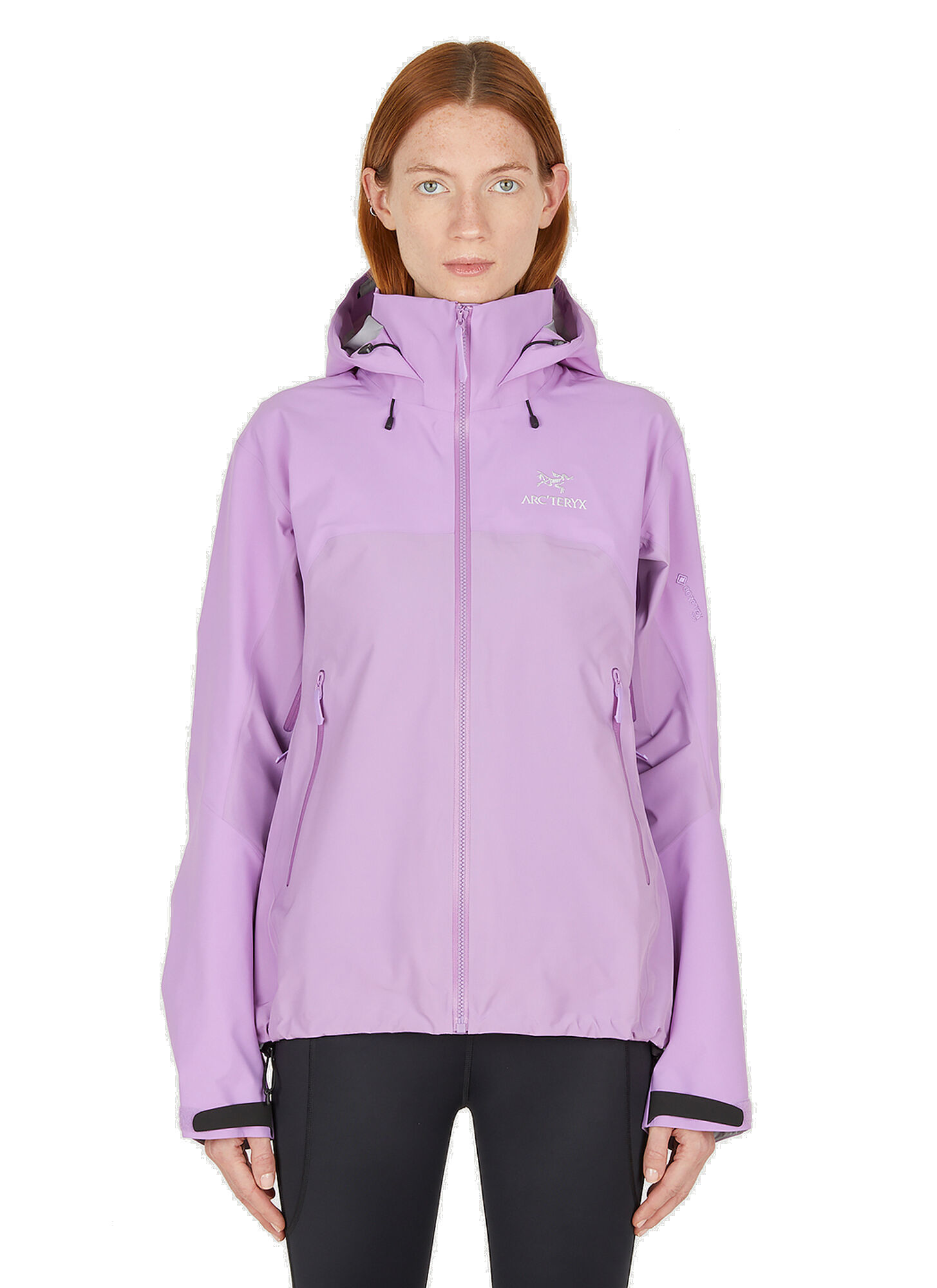 Beta AR Jacket in Purple Arc'teryx