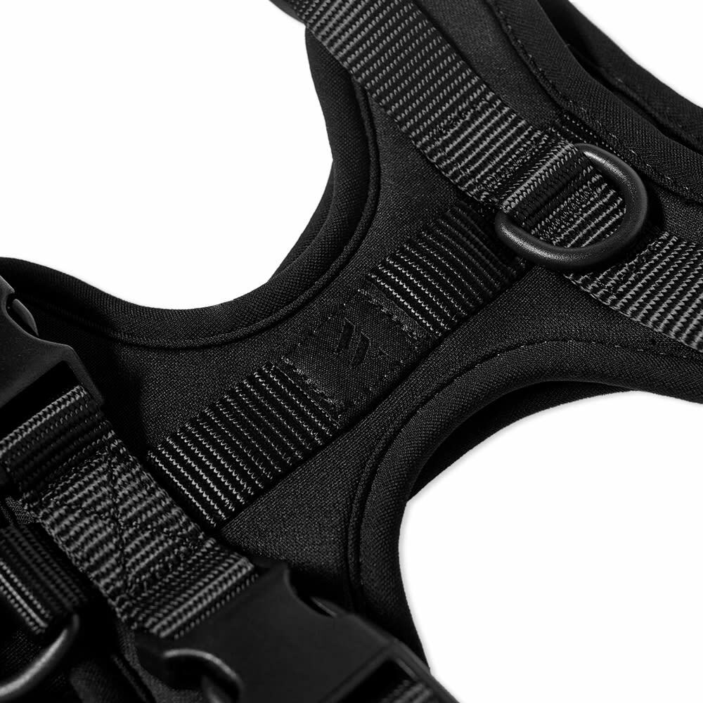 Wild One Dog Harness in Black Wild One