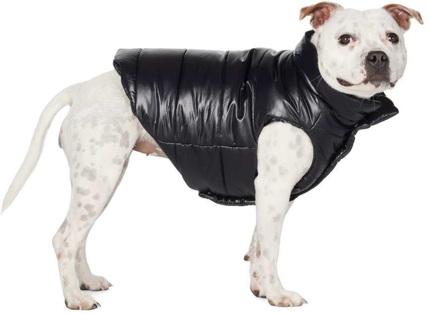 Photo: Moncler Genius Black Poldo Dog Couture Edition Vest