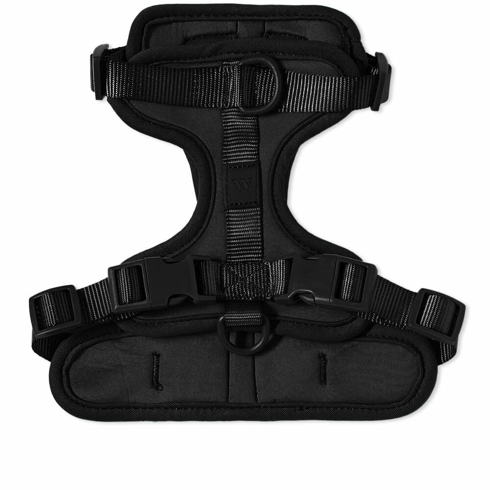Wild One Dog Harness in Black Wild One
