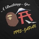 A Bathing Ape Embroidered Japan Culture Tee