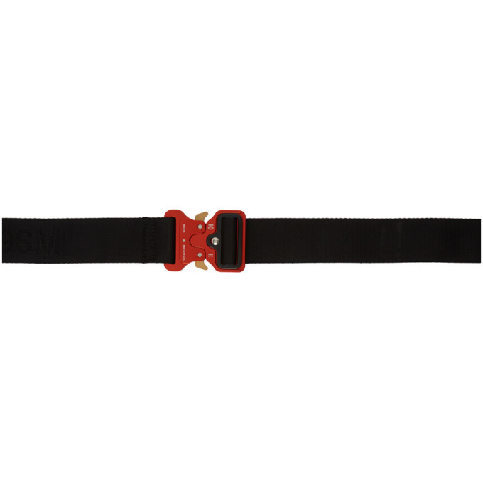 rollercoaster buckle