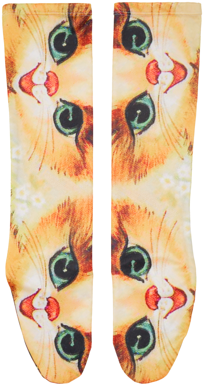 Photo: Chopova Lowena SSENSE Exclusive Multicolor Cat Socks