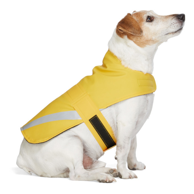 stutterheim raincoat dog